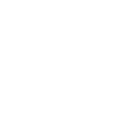 מקצוע שהוא שקט כלכלי לחיים